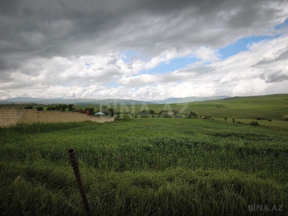Torpaq Şamaxı