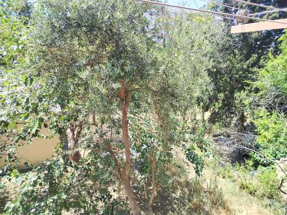 3 otaqlı Köhnə tikili, Əhmədli m., Bakı