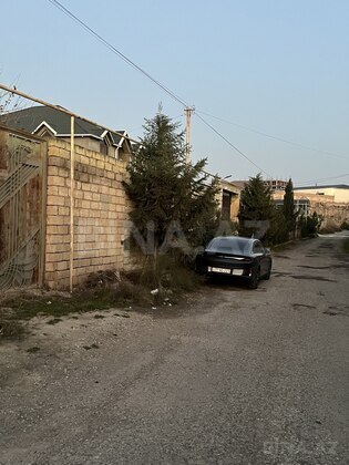 Torpaq Şıxov q., Bakı