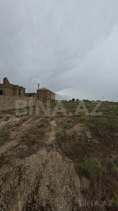 Torpaq Türkan q., Bakı