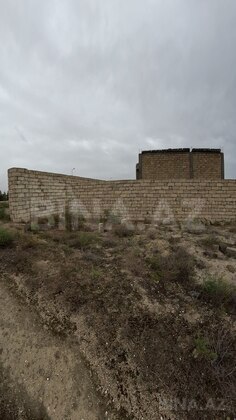 Torpaq Türkan q., Bakı