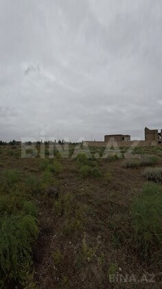Torpaq Türkan q., Bakı