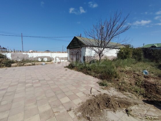 Torpaq Pirşağı q., Bakı