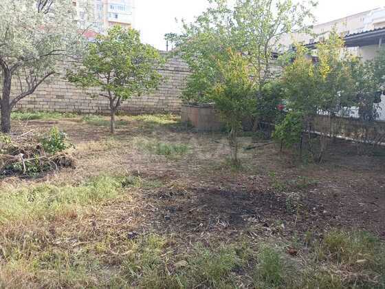 Torpaq Badamdar q., Bakı