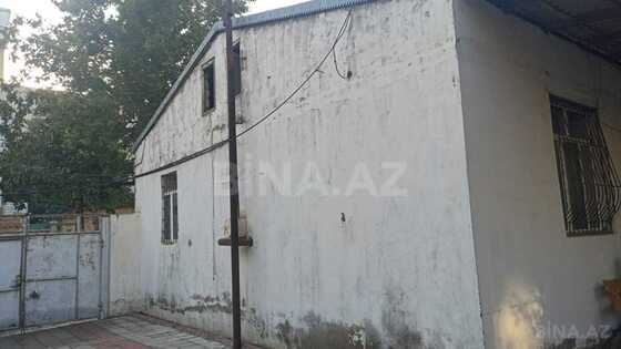 Torpaq Badamdar q., Bakı