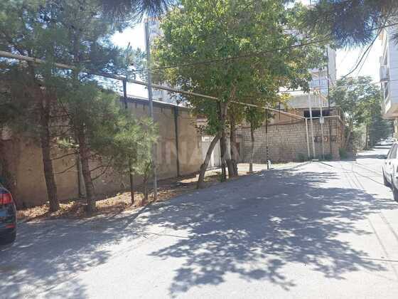 Torpaq Badamdar q., Bakı