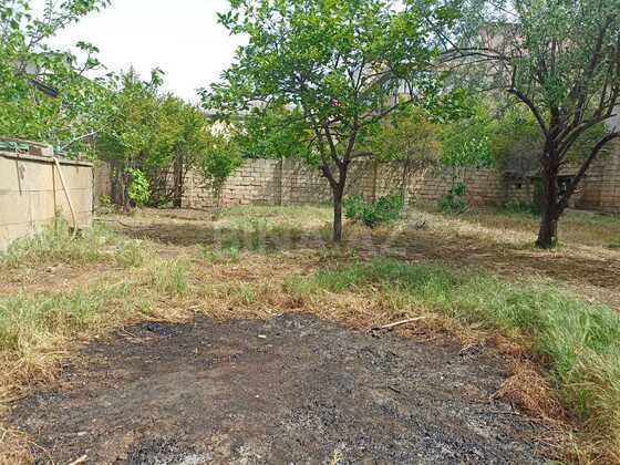 Torpaq Badamdar q., Bakı