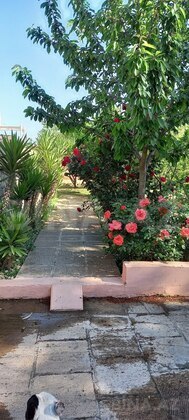 5 otaqlı Həyət evi/Bağ evi, Mərdəkan q., Bakı