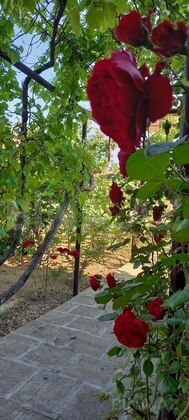 5 otaqlı Həyət evi/Bağ evi, Mərdəkan q., Bakı