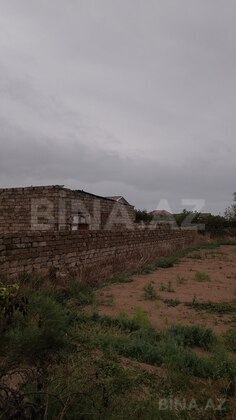 Torpaq Türkan q., Bakı