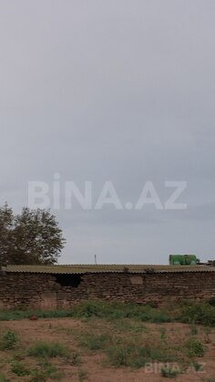 Torpaq Türkan q., Bakı