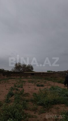 Torpaq Türkan q., Bakı
