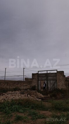 Torpaq Türkan q., Bakı