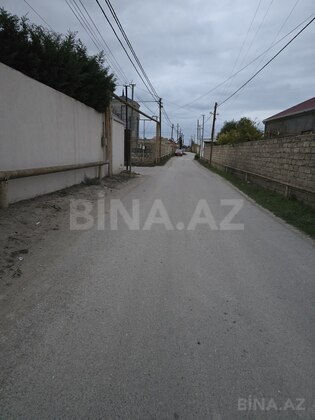 Torpaq Albalılıq q., Bakı