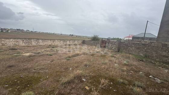 Torpaq Qala q., Bakı