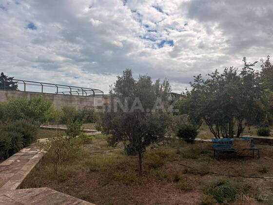 Torpaq Şüvəlan q., Bakı