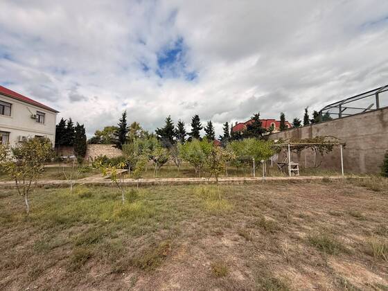 Torpaq Şüvəlan q., Bakı