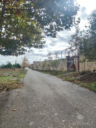 Torpaq Novxanı q., Bakı