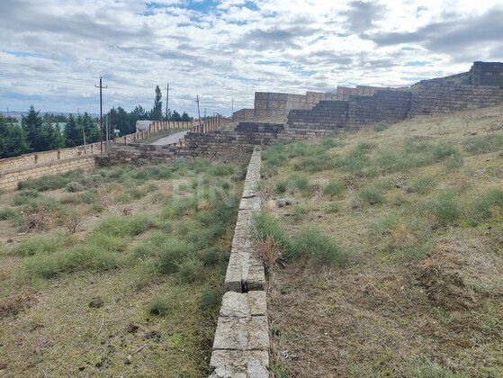 Torpaq Novxanı q., Bakı
