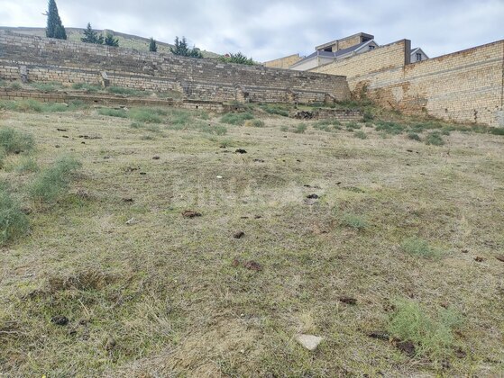 Torpaq Novxanı q., Bakı
