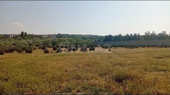 Torpaq Görədil q., Bakı