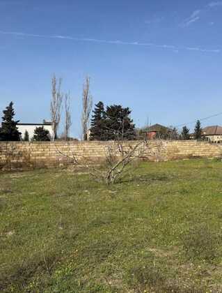 Torpaq Görədil q., Bakı