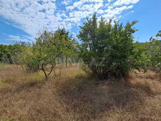 Torpaq Bilgəh q., Bakı