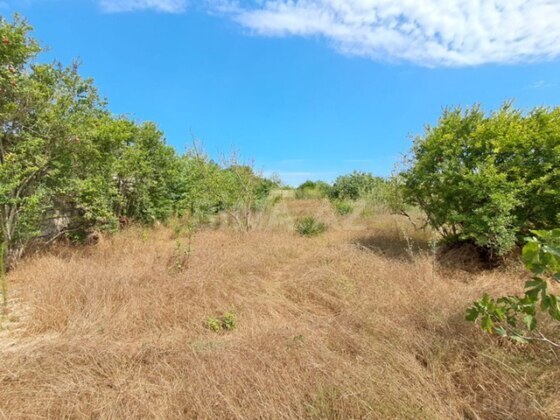 Torpaq Bilgəh q., Bakı