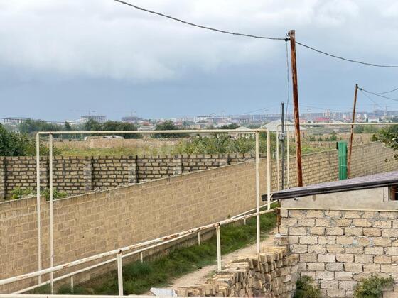 Torpaq Nardaran q., Bakı