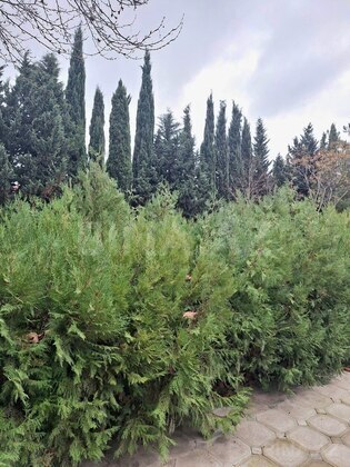 7 otaqlı Həyət evi/Bağ evi, Abşeron r., Bakı