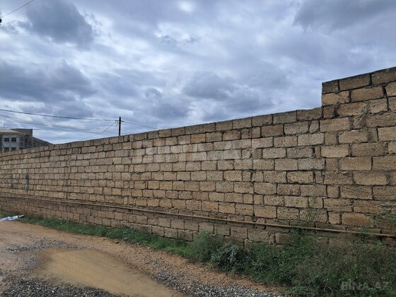 Torpaq Albalılıq q., Bakı