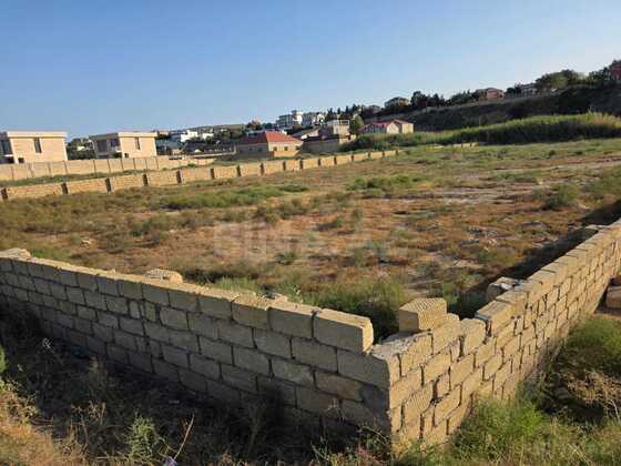 Torpaq Novxanı q., Bakı
