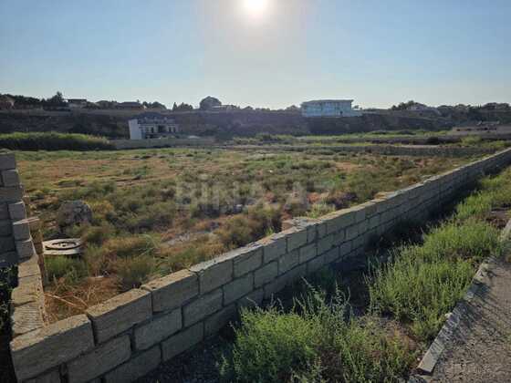 Torpaq Novxanı q., Bakı
