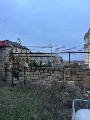 Torpaq Badamdar q., Bakı