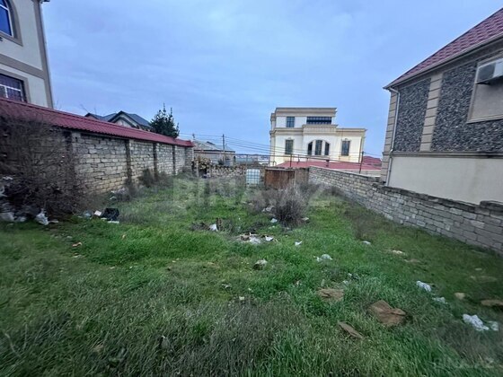Torpaq Badamdar q., Bakı