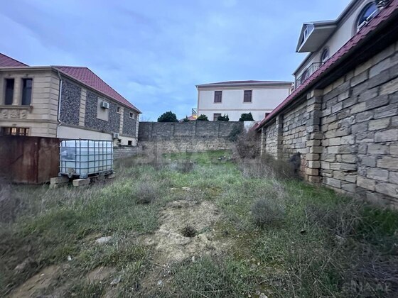 Torpaq Badamdar q., Bakı