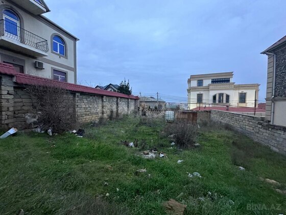 Torpaq Badamdar q., Bakı