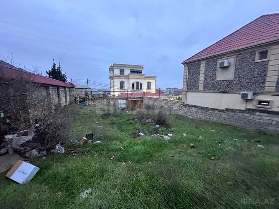 Torpaq Badamdar q., Bakı