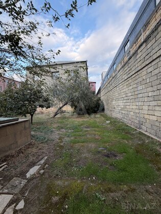 Torpaq Badamdar q., Bakı