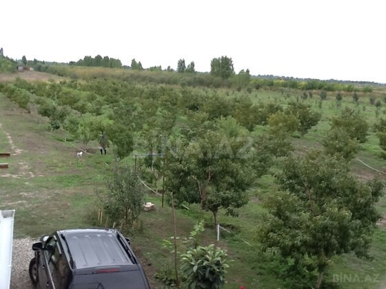 5 otaqlı Həyət evi/Bağ evi, Xudat