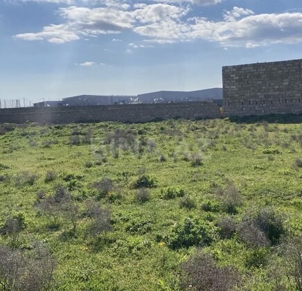 Torpaq Biləcəri q., Bakı