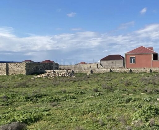 Torpaq Biləcəri q., Bakı