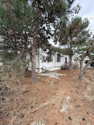 Torpaq Şüvəlan q., Bakı