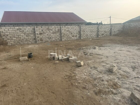 Torpaq Buzovna q., Bakı