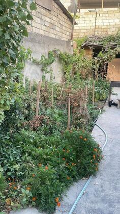 7 otaqlı Həyət evi/Bağ evi, Azadlıq Prospekti m., Bakı