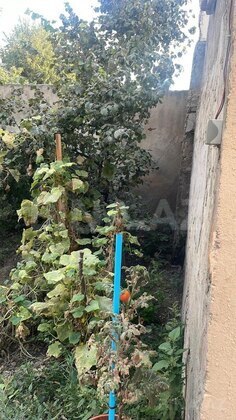 7 otaqlı Həyət evi/Bağ evi, Azadlıq Prospekti m., Bakı