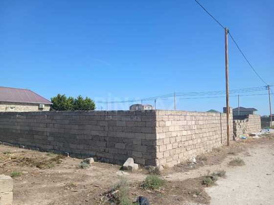 Torpaq Türkan q., Bakı