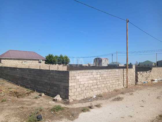 Torpaq Türkan q., Bakı