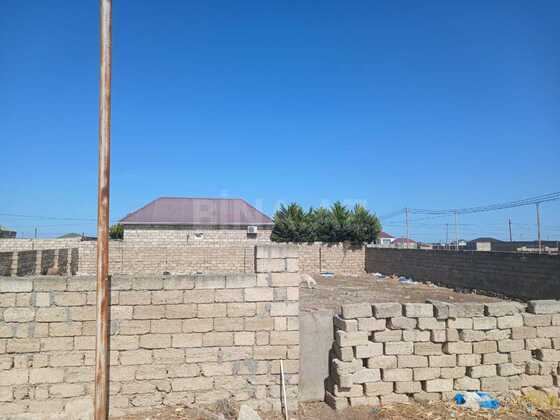 Torpaq Türkan q., Bakı