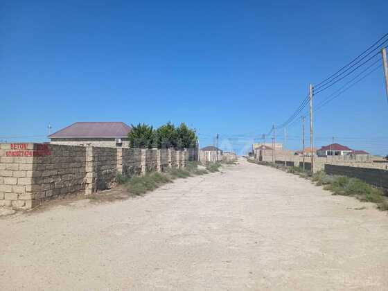 Torpaq Türkan q., Bakı
